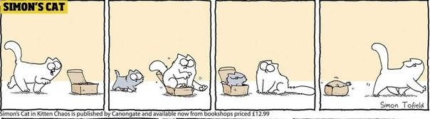  Autors: alieee Simon's Cat