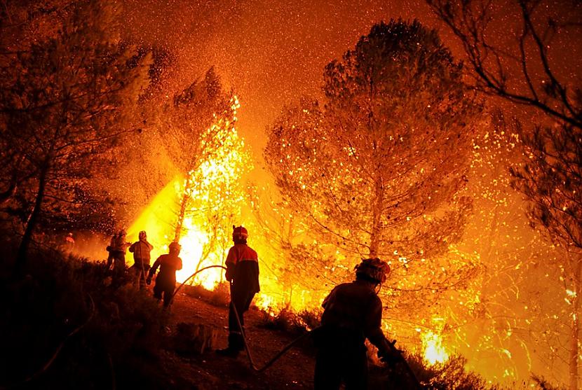 Meža ugunsgrēki ātrāk... Autors: Raacens Faktu bomba I