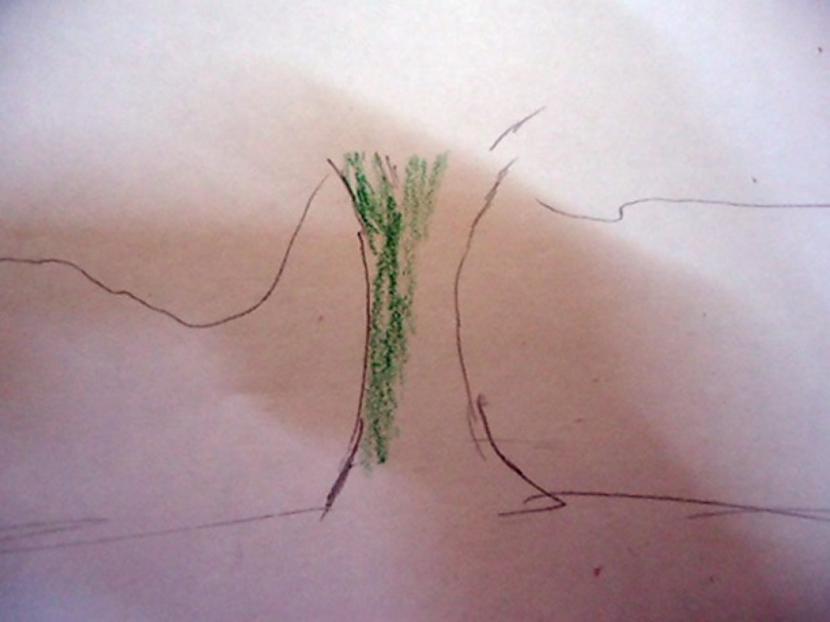 Koka stumbra ēnu iekrāso zaļu... Autors: almazza Kā izkrāsot koku (bildes, apraksts)