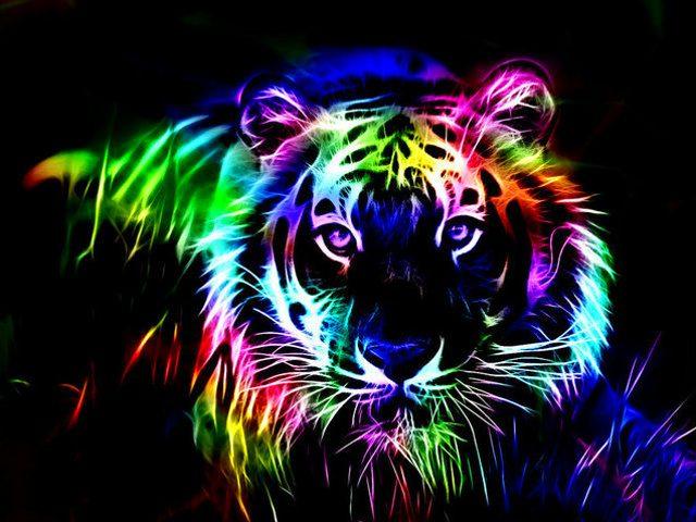Turklāt tīģeris redz krāsas un... Autors: Kāmis Kukuruzņiks Tīģeris
