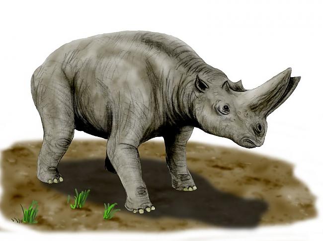pirms 43 milijoniem gadu... Autors: LordOrio Kas mēs esam 6-zīdītāju ēra