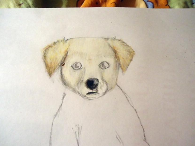 Tā mēs to turpinām pārkrāsojam... Autors: almazza Kā uzzīmēt un izkrāsot suni