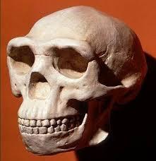 pirms 16 milijoniem gadu... Autors: LordOrio Kas mēs esam 7-cilvēka senči