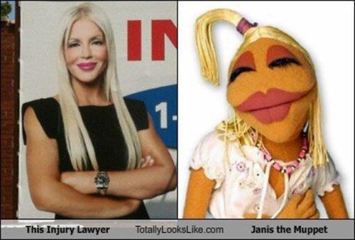  Autors: littlemonster19 Līdzību atrodat?