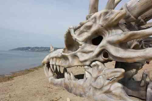  Autors: Deadshot Mīlzīgs pūķa galvaskauss pludmalē