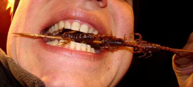 Skorpionu ēdājsnbspLielākoties... Autors: DEMENS ANIMUS Dīvaina pārtika! TOP 10.