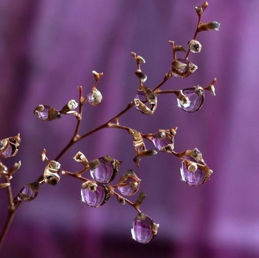  Autors: Branvena Skaistās Lietuslāses