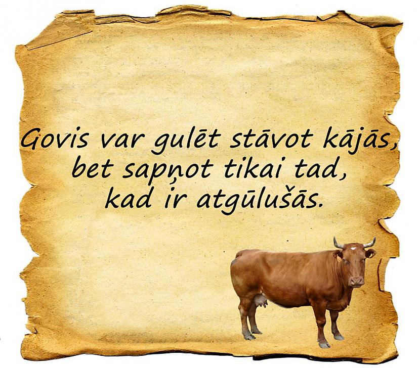  Autors: xd Fakti, kuri tevi pārsteigs.