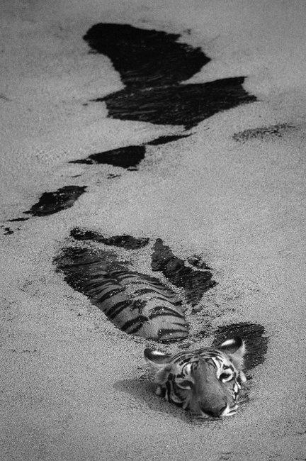  Autors: RōzāPelmenis Black and White feelings ❤ [ 19 ]