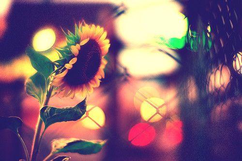  Autors: Hitleriene We ♥ it