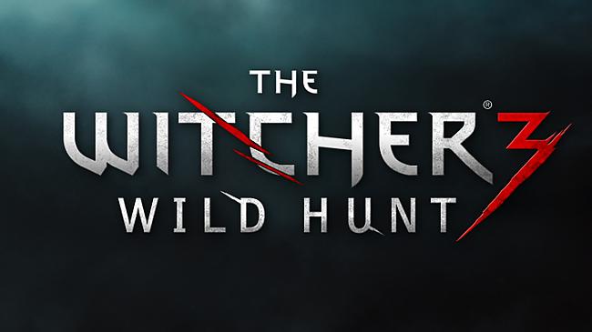 The Witcher 3 Wild HuntPasaule... Autors: luca Gaidāmās spēles 2014.gadā (2)