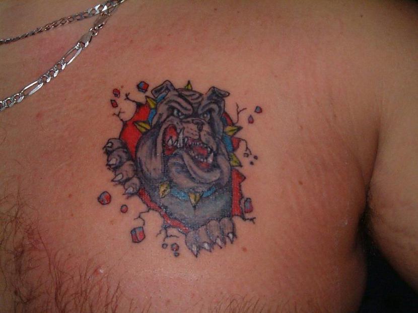  Autors: infectedgrrl Dzīvnieku tetovējumi