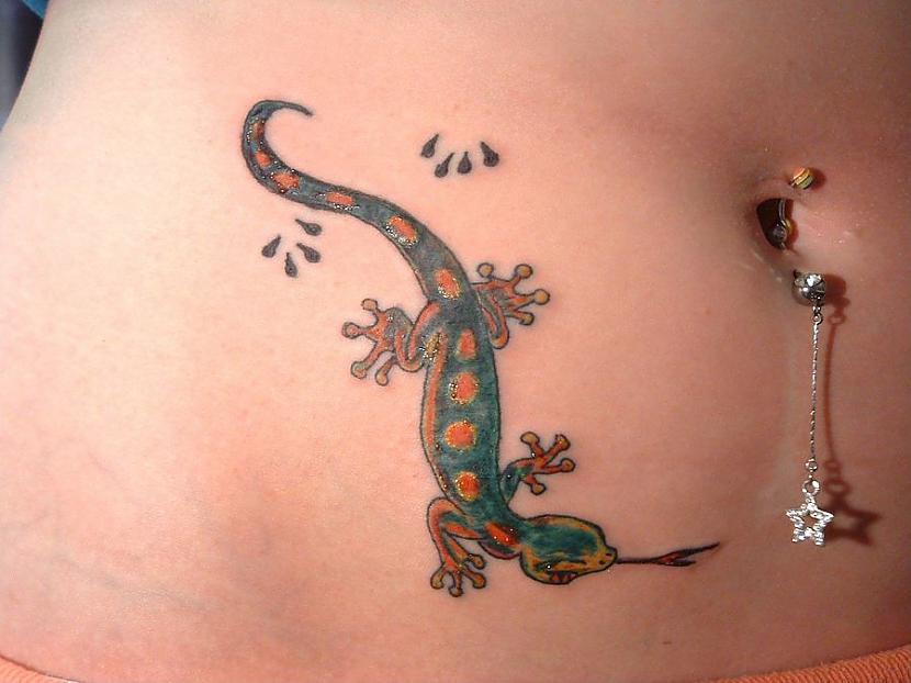  Autors: infectedgrrl Dzīvnieku tetovējumi