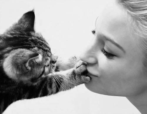  Autors: Anastasija Smile Cat..