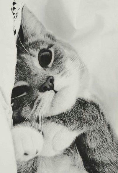  Autors: Anastasija Smile Cat..