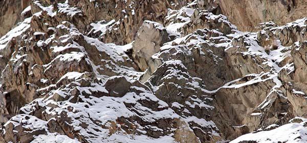 Sniega leopards Autors: Aivāā Jūs pat nenojaušat uz ko skataties.