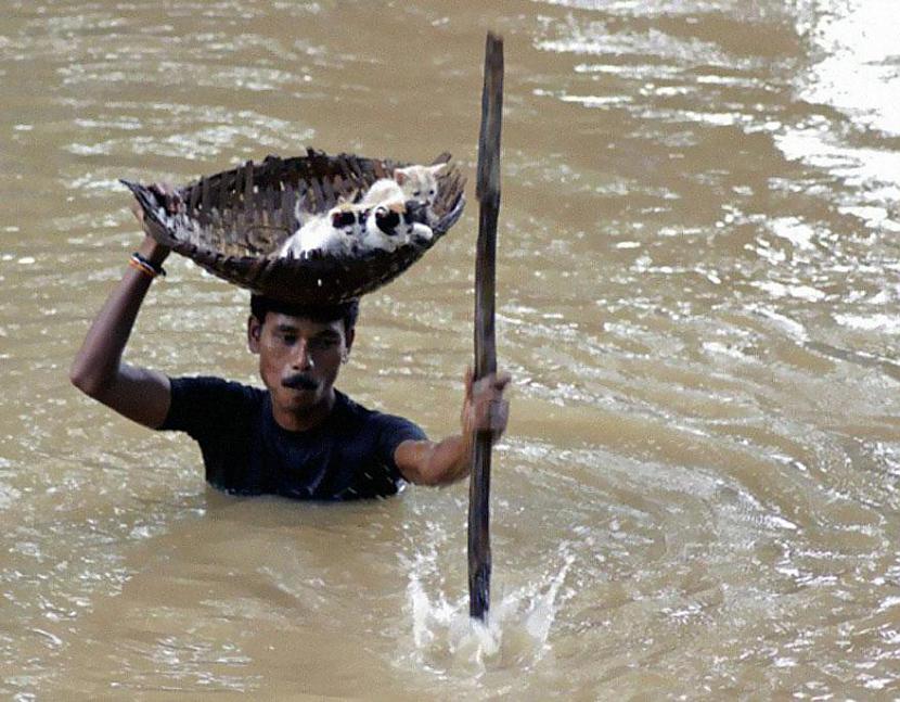 Vīrietis Indijā glābj... Autors: MaziņšSusuriņšs 24 spēcīgākie un iespaidīgākie FOTO
