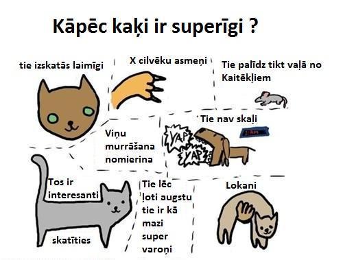  Autors: Gurķis sālītais Dog Vs Cat