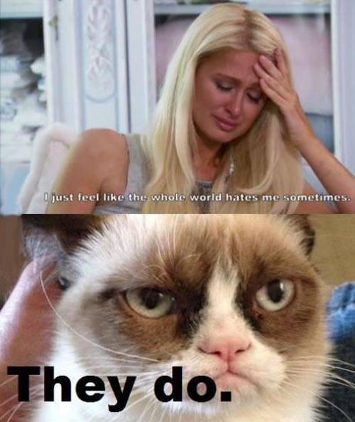  Autors: baqate Komiksu Izlase 7. (Grumpy cat special)