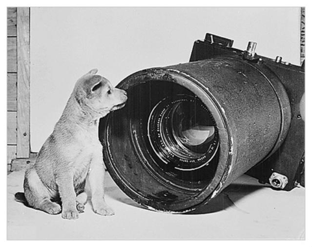 K19  pasaulē lielākā kamera Ar... Autors: Man vienalga 10 kara fotogrāfijas, kuras NAV fotošopētas! #4