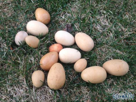 Dažas olas pats taisīju Autors: Fosilija Koka lieldienu olas