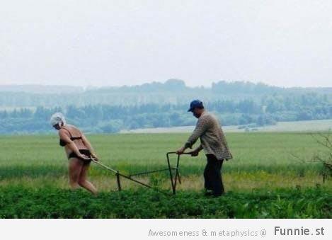 Krievu zemniekiem nevajag... Autors: Man vienalga Zeme, kas nekad nebeigs pārsteigt - Krievija! #2
