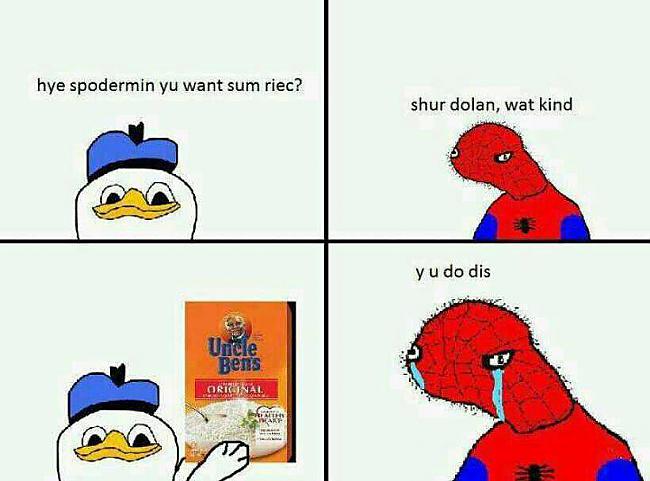  Autors: OUYSO Dolan pls.