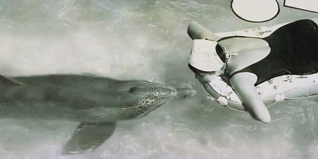 Eksperimenta beigās Margrieta... Autors: ORGAZMO Sekss ar delfīnu??