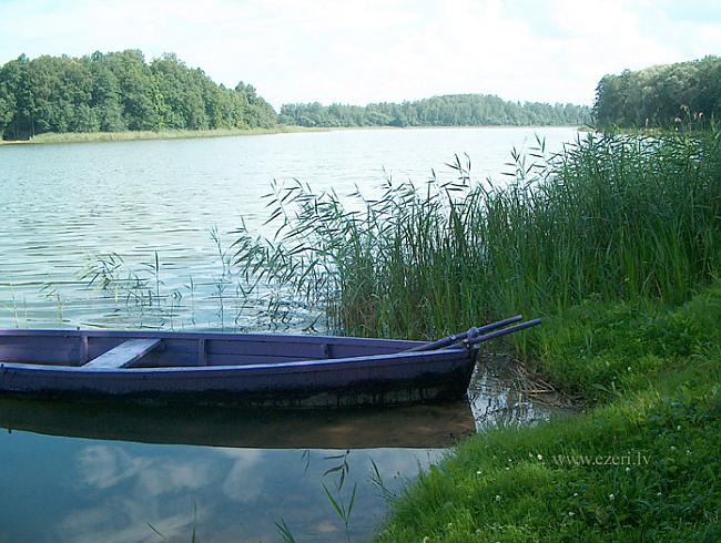 Ormijas... Autors: Optimists NaCl 7 Latvijas dzidrākie, nē, dziļākie ezeri