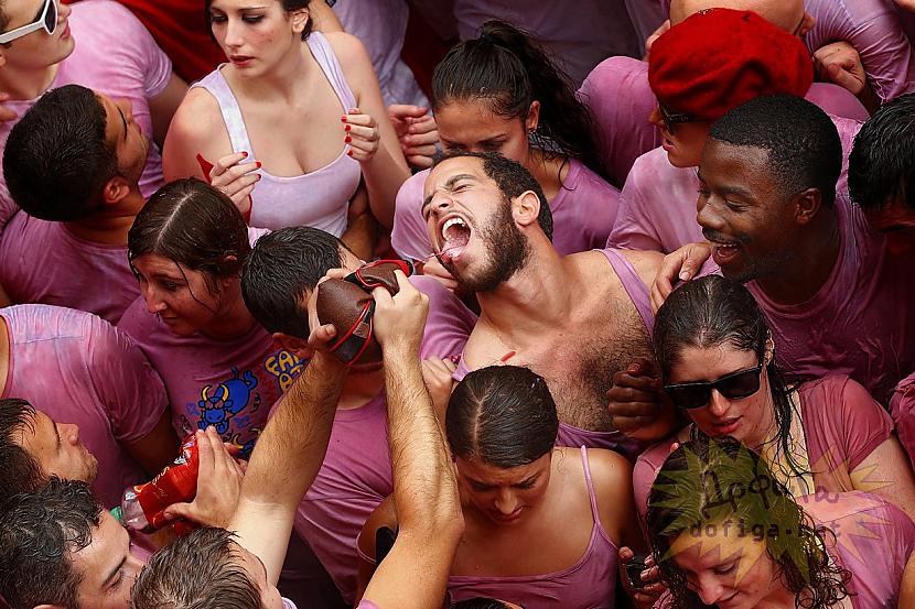  Autors: Hello Festivāls (pasākums ) San - Fermin !