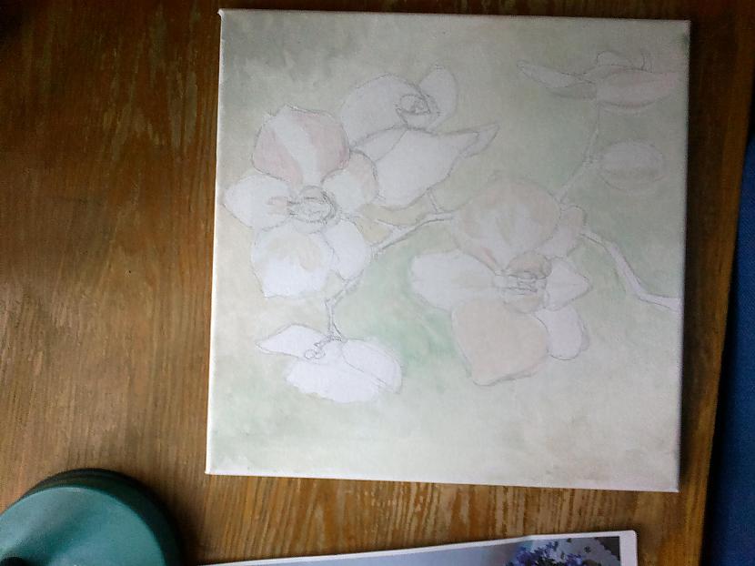 Tātad scaronis ir pats sākums... Autors: SākuDzīvi NoJauna Manis gleznotas orhidejas (soli pa solim)