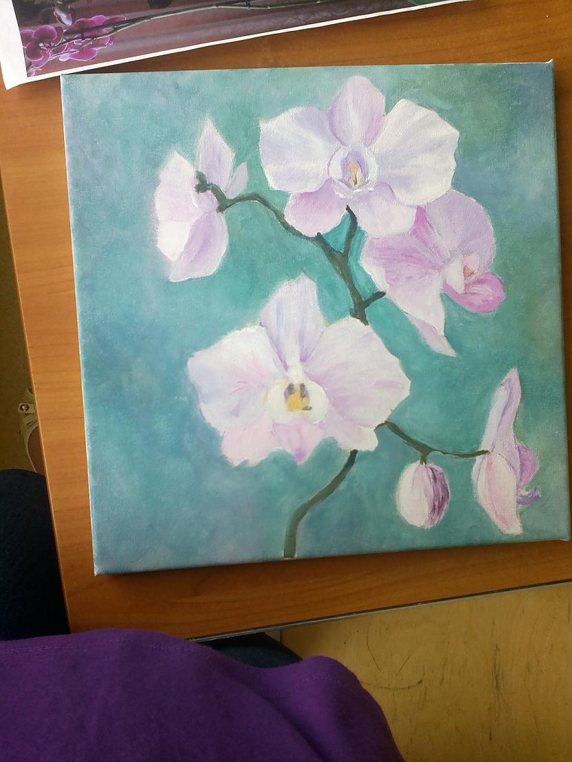 Jau kārtīgāk  Autors: SākuDzīvi NoJauna Manis gleznotas orhidejas (soli pa solim)