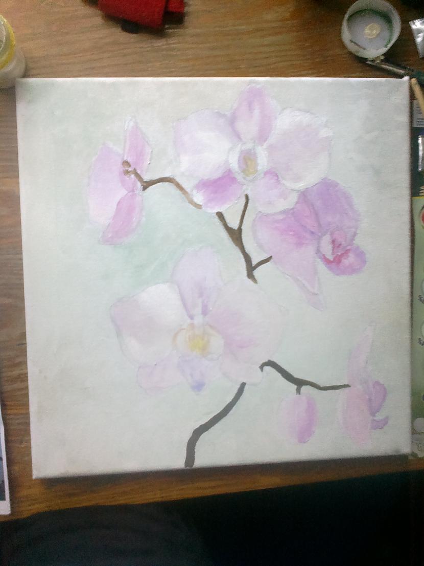 Pagaidām naw ko piebilst Autors: SākuDzīvi NoJauna Manis gleznotas orhidejas (soli pa solim)