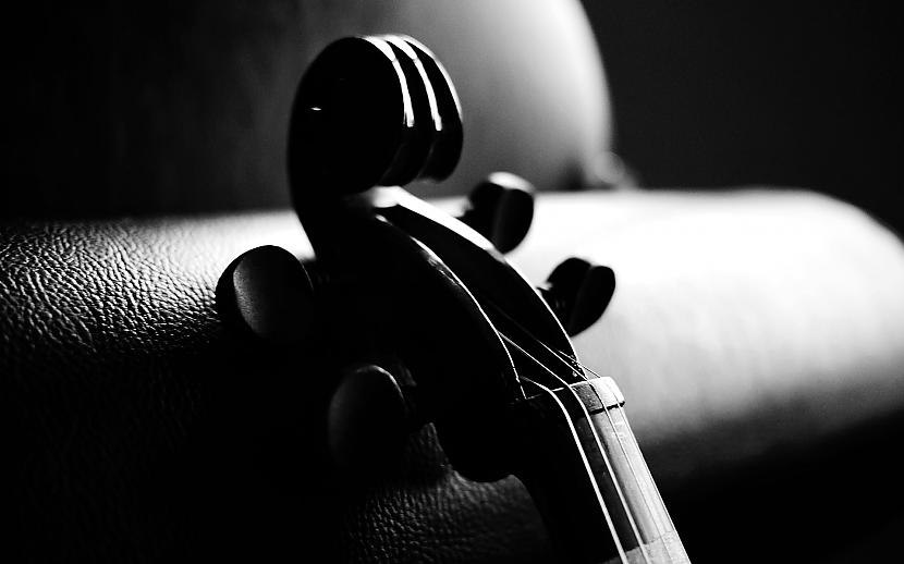 Violin Autors: Kasano Violin