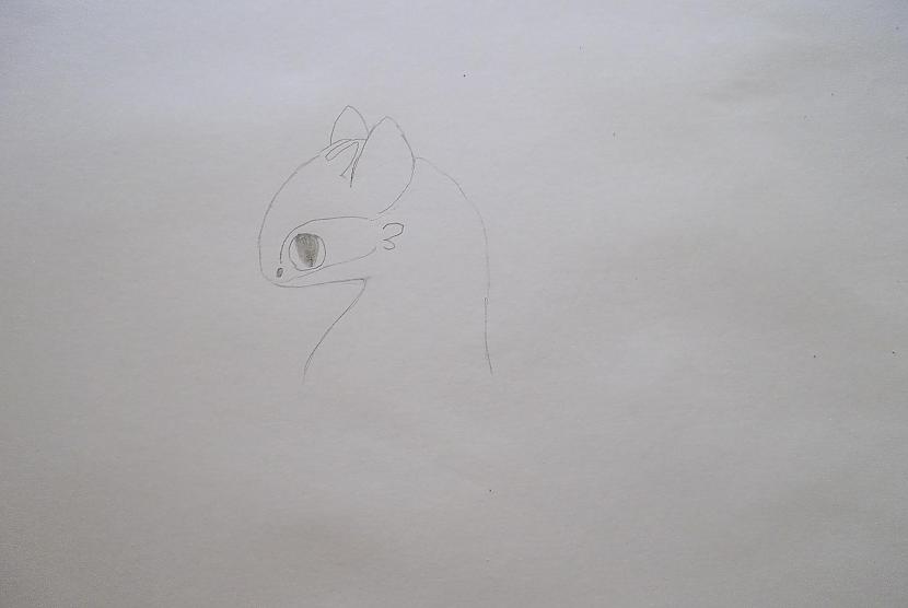 Tagad sākot no deguna un... Autors: vienpadsmitgadniece kā zīmēt: tumsējs fūrijs