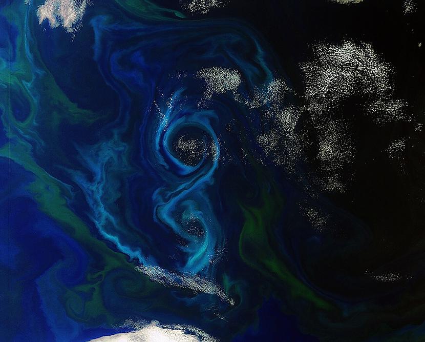 Fitoplanktoni Klusajā okeānā Autors: Prāta Darbnīca Neparasti attēli no Zemes orbītas