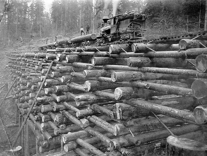 1900gads Dzelzceļs uz baļķiem Autors: Prāta Darbnīca Neparastas vēstures fotogrāfijas (5.daļa)