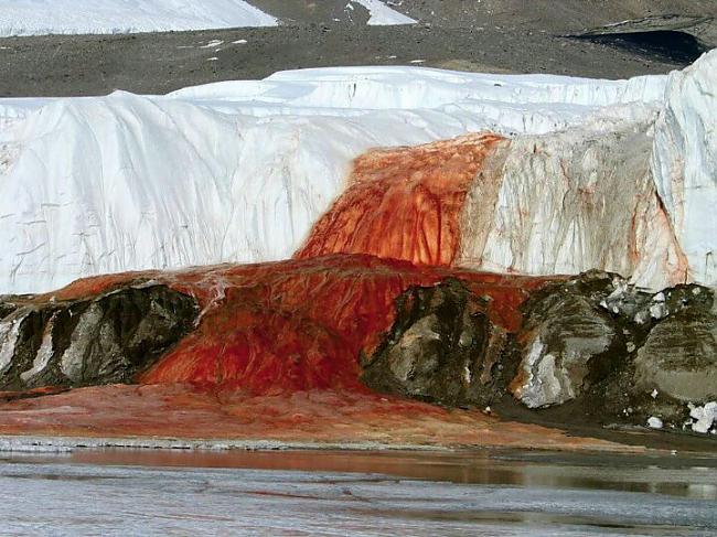 Antarktīdā ir ledājs ko sauc... Autors: shadow118 Telefons dušā, asiņojošs ledājs un citi fakti