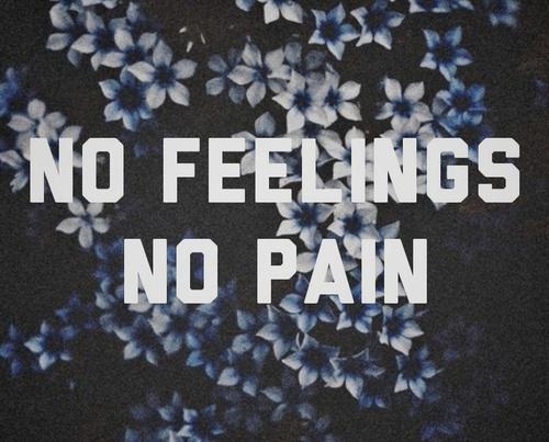  Autors: KwonDarin No feelings. No pain.