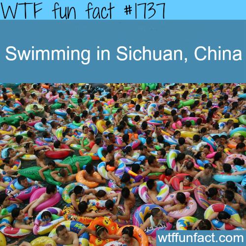 Peldbaseins Ķīnā Autors: Slinkaste Dažādi WTF fakti