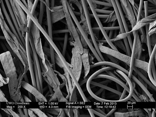 Audums Autors: bietitee Zem mikroskopa (1)