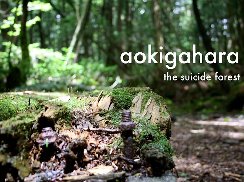 Augsto pascaronnāvību līmenis... Autors: pofig Pašnāvību mežs Japānā