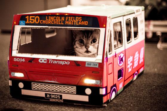  Autors: Yanara Kaķis regulāri pārvietojas ar autobusu!