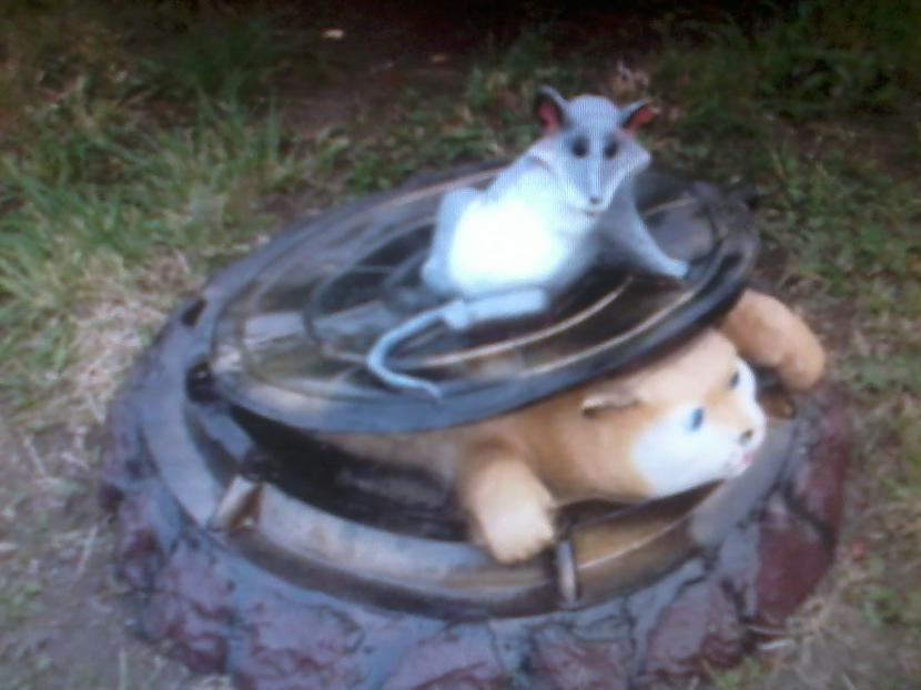 Klasika  kaķis pret pelinbsp Autors: Gmonster Neparastas skulptūras, kas nav bijušas spokos
