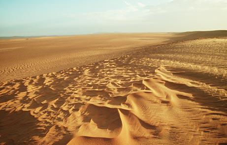 Sahāras tuksnesī 1979gadā... Autors: Fosilija 30 pilnīgi bezjēdzīgi fakti, toties interesanti
