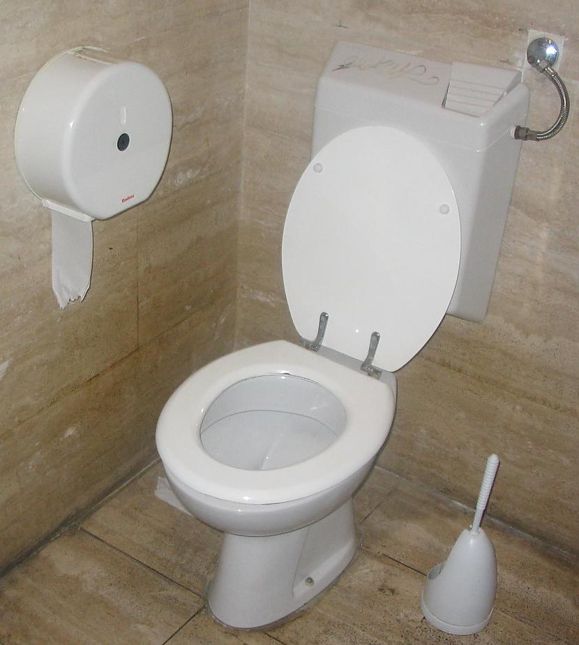 Cilvēks izmanto tualeti vidēji... Autors: Mārtiņš2 Interesanti fakti