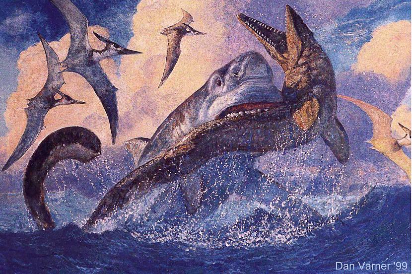 nbsp nbspFosilijas scaronim... Autors: Mao Meow Megalodons – Lielākā haizivs kāda peldējusi pa okeāniem.