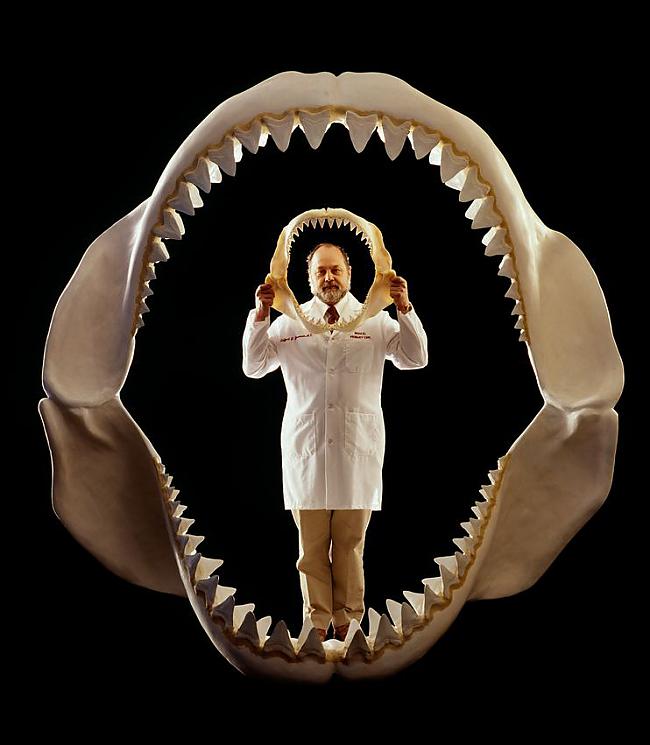 nbsp nbspnbspScaronī nezvēra... Autors: Mao Meow Megalodons – Lielākā haizivs kāda peldējusi pa okeāniem.