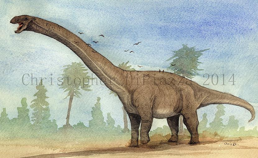 nbsp nbspScaronie dinozauri... Autors: Mao Meow Titanozauru klase – pasaules lielāka dinozauru klase.