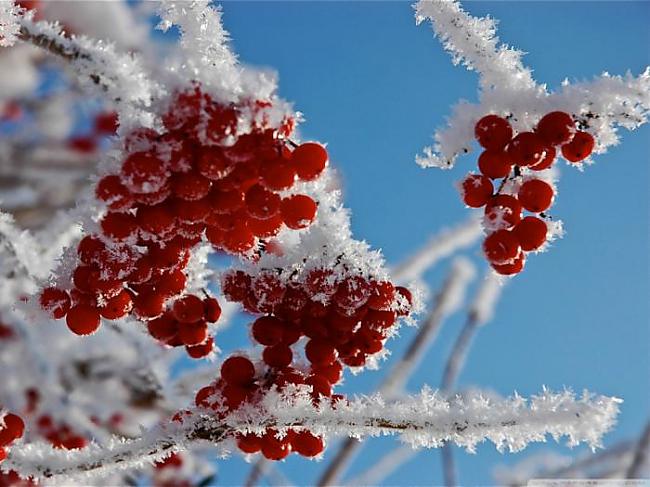  Autors: Fosilija Ziemas bildes.